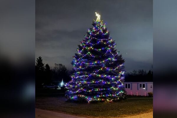 Residents help 88-year-old man decorate tree he planted as sapling 40 years ago