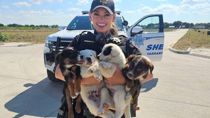 Multiple puppies were found earlier this weekend outside with no water in Tarrant County, Texas.