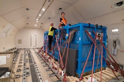 Whale transfer
